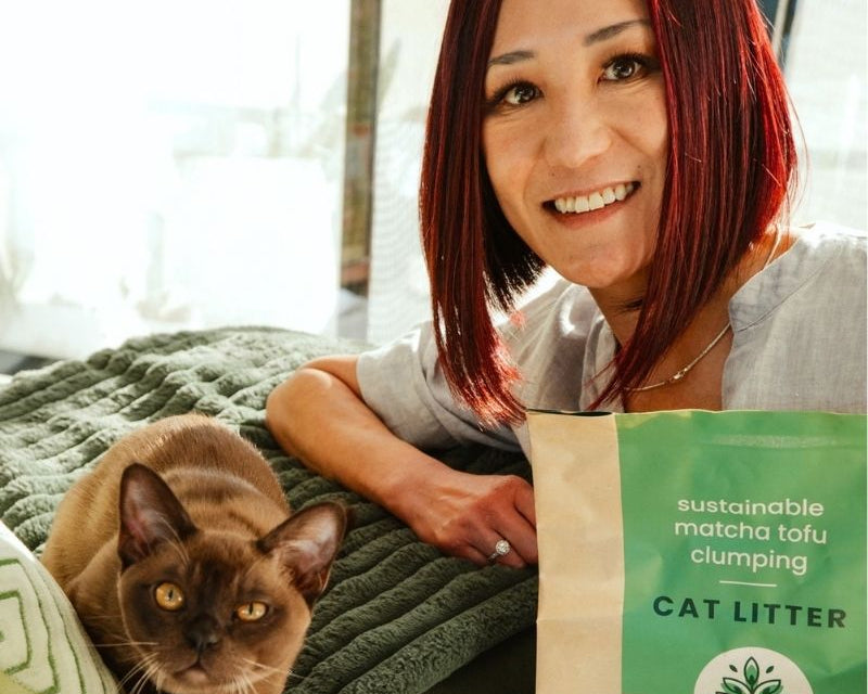 HOW TO USE and TRANSITION to MATCHA Clumping Cat Litter - Vet directed