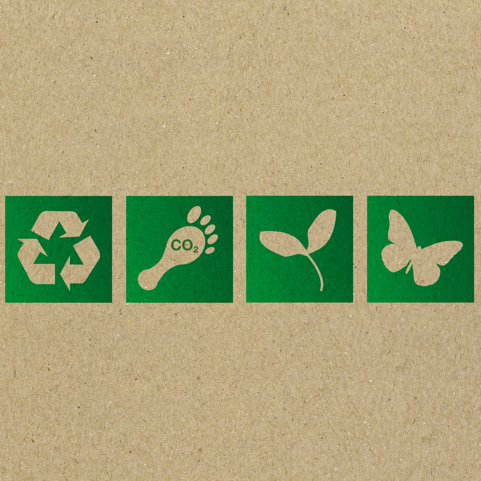 How to Dispose of Cat Litter the Right Way in Australia