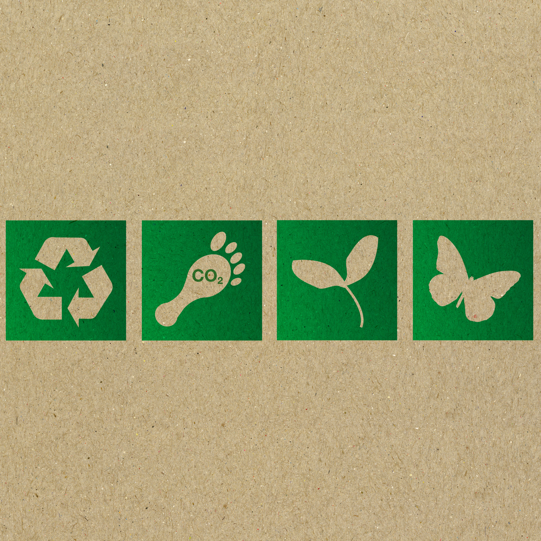 How to Dispose of Cat Litter the Right Way in Australia