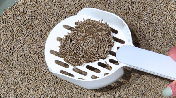 The Science of Clumping Cat Litter