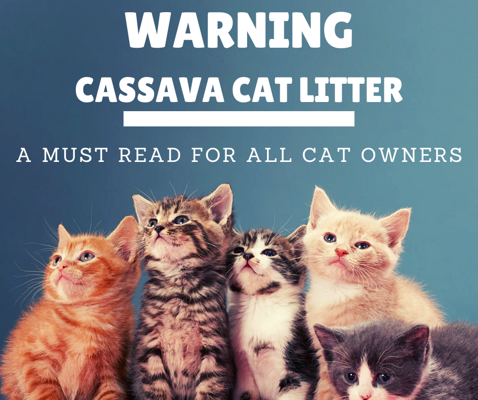 WARNING:  Cassava Cat Litter Risks: Cyanide, Dust & Safer Alternatives