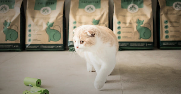 What you can't see in your cat's litter.