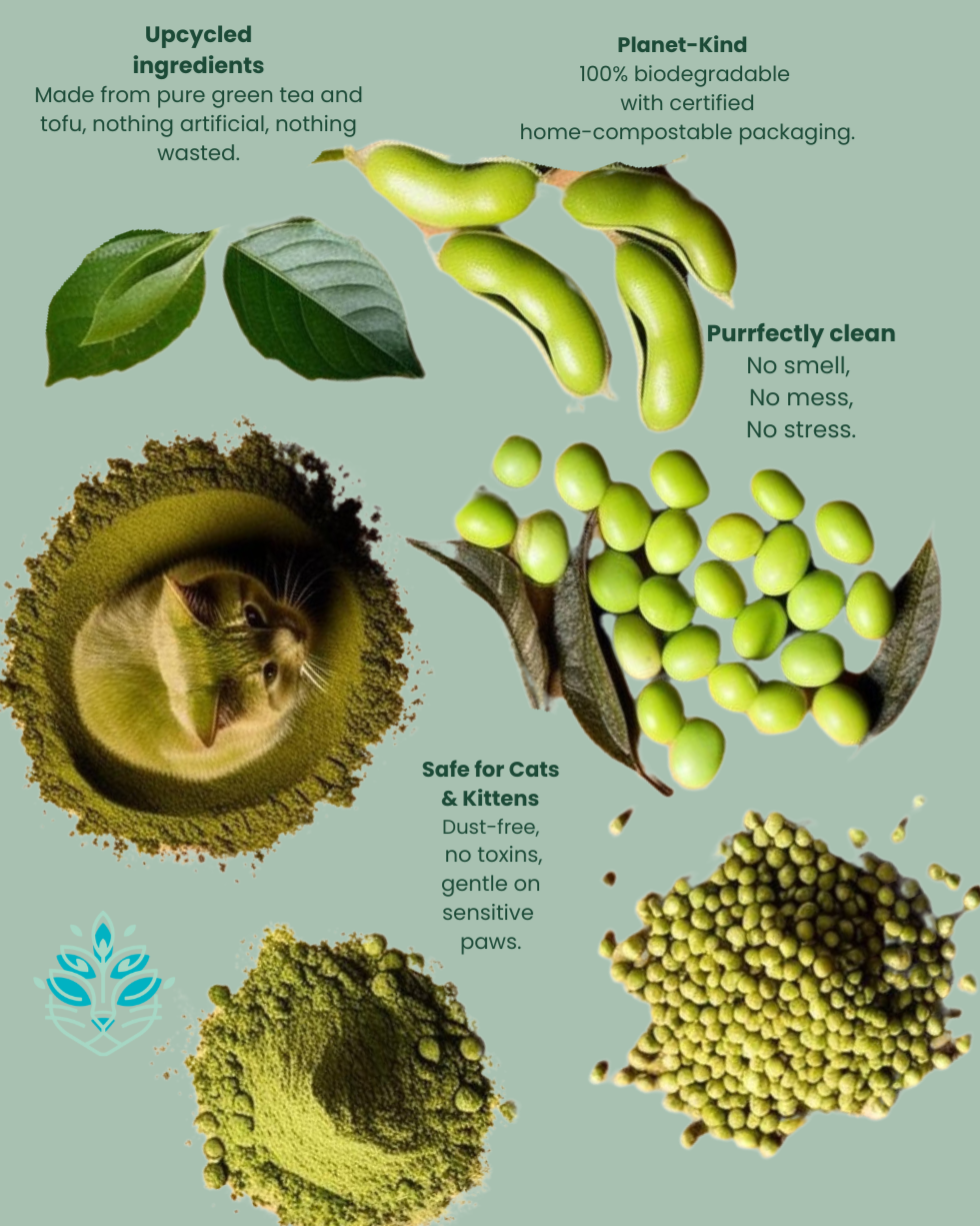 HOW TO USE and TRANSITION to MATCHA Clumping Cat Litter - Vet directed