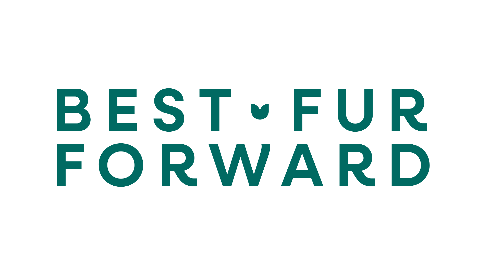 The Benefits of a Raw Food Diet for Cats : A Veterinarian's Perspective