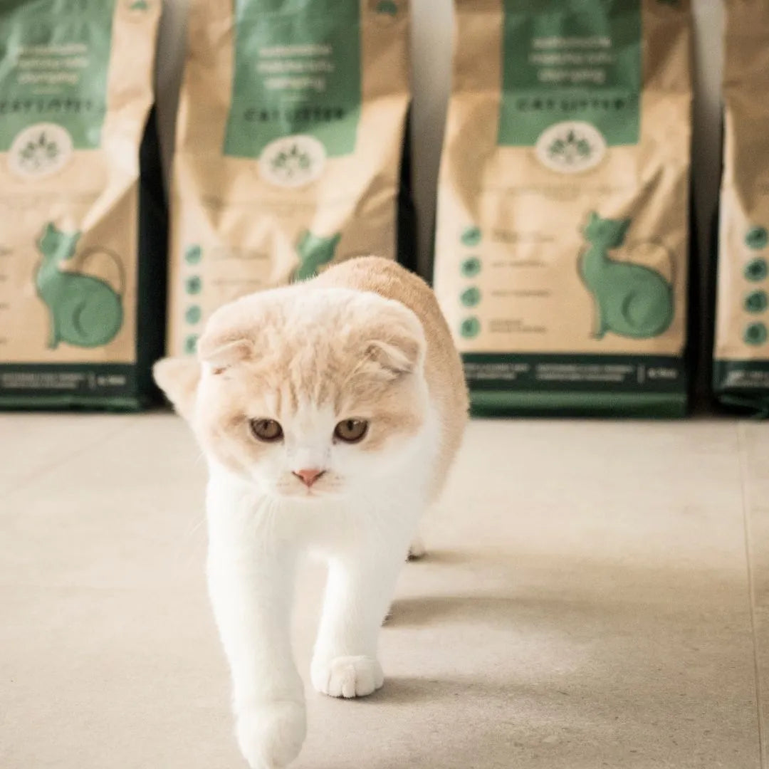 MATCHA Plant based Clumping Litter 4.7kg